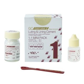 Glass Ionomer Cements (GIC)