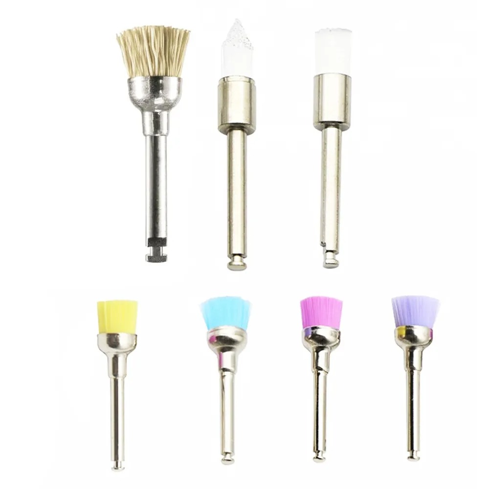 Prophy Cups & Brushes