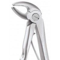 Extraction Forceps