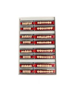 Ruthinium Acry Rock Teeth Sets -A3 Shade (Pack of 4 Sets)