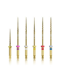 Avue Aurum Gold Heat Treated Rotary Starter Kit