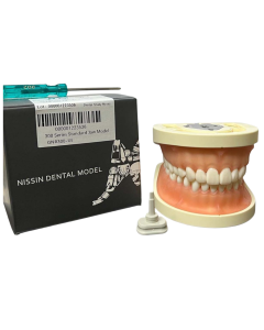 Nissin Typodont Jaw Set Soft Gum GNR300 – UL (300 Series)