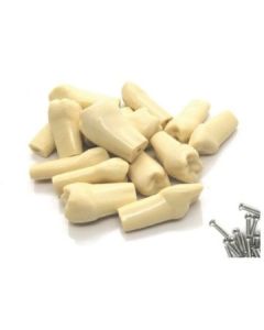 Navadha ZX Typhodont Without Screw