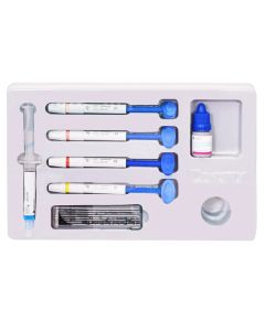 Dentsply Spectrum Composite Kit