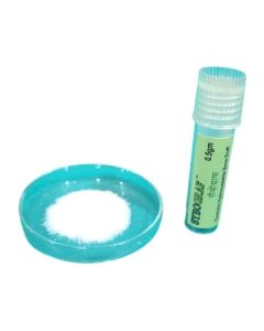 Eucare Sybo Graf Bone Graft 600 -700 microns