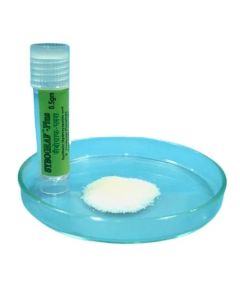 Eucare Sybo Graf-Plus –Biphasic Synthetic Bone Graft