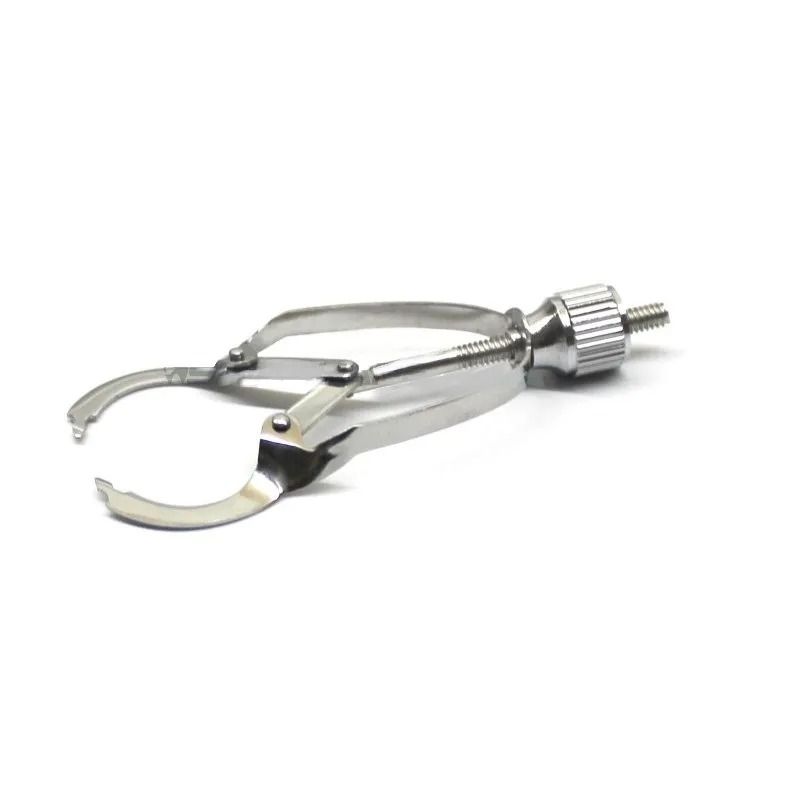 Jenin Matrix Retainer No.1 (Ivory Type)