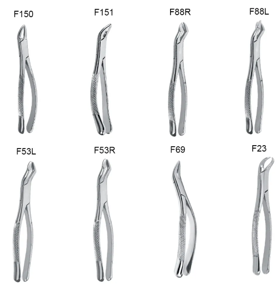 GDC American Extraction Forceps