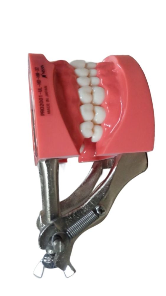 Nissin Articulator for Jaw Set