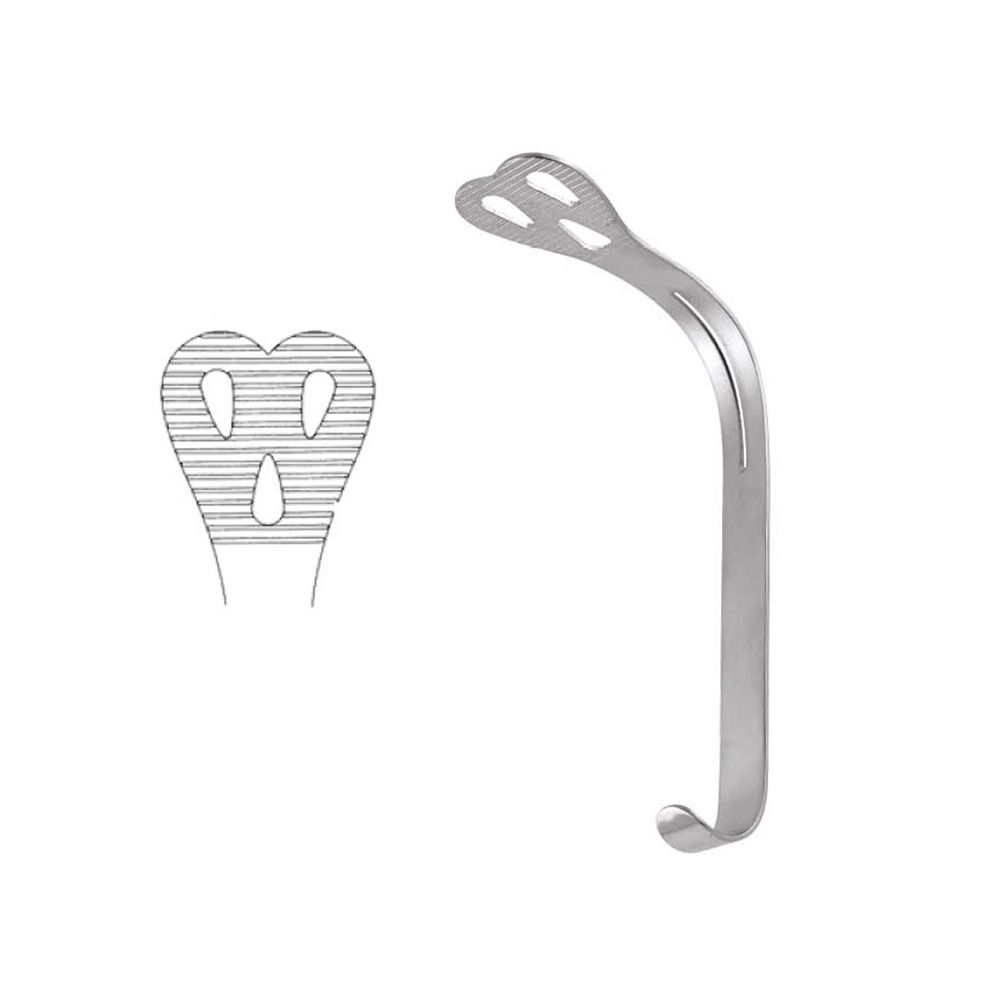 GDC Cheek Tongue Depressor – WEIDER 