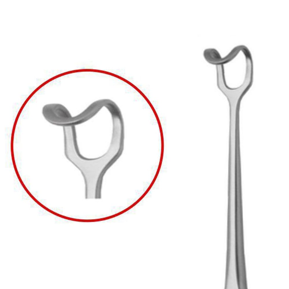 GDC Cheek Retractor Middledorpf - 14x17 (19cm) (CRMD1)