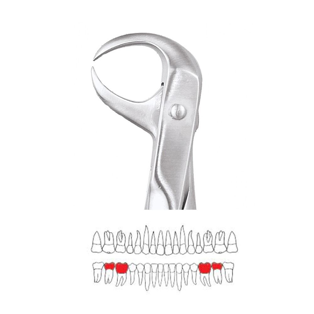 GDC Extraction Forceps Lower Molars - 86 Standard (FX86S)