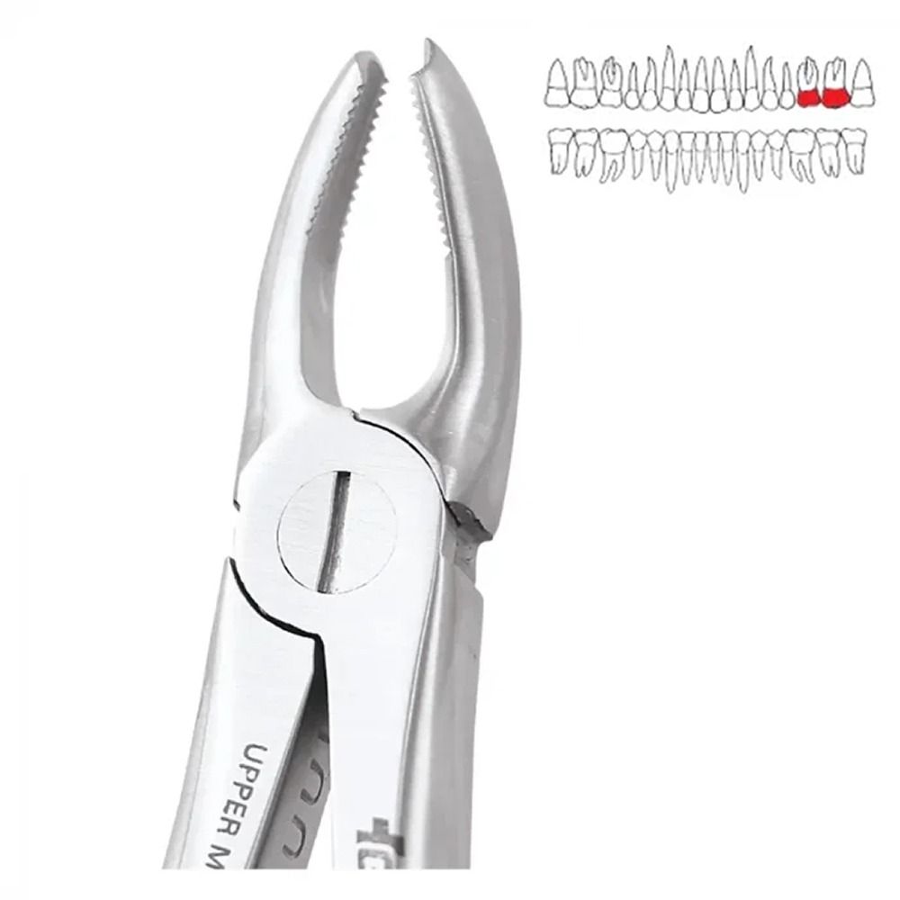 GDC Extraction Forceps Upper Molars Right Standard - FX18S