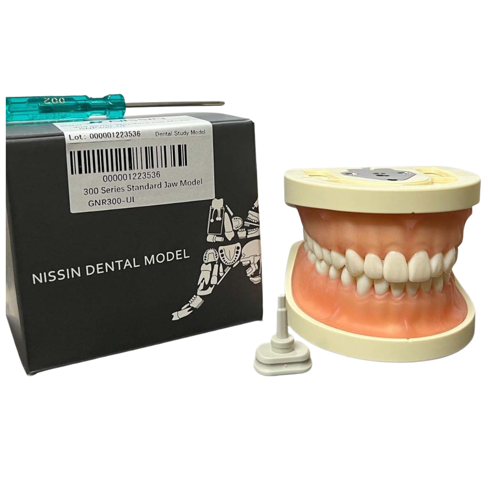 Nissin Typodont Jaw Set Soft Gum GNR300 – UL (300 Series)