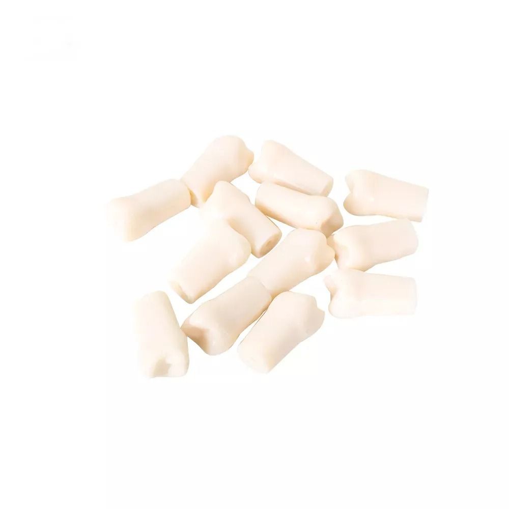 Nissin Typodont Individual Teeth for GNR300 – UL (300 Series)