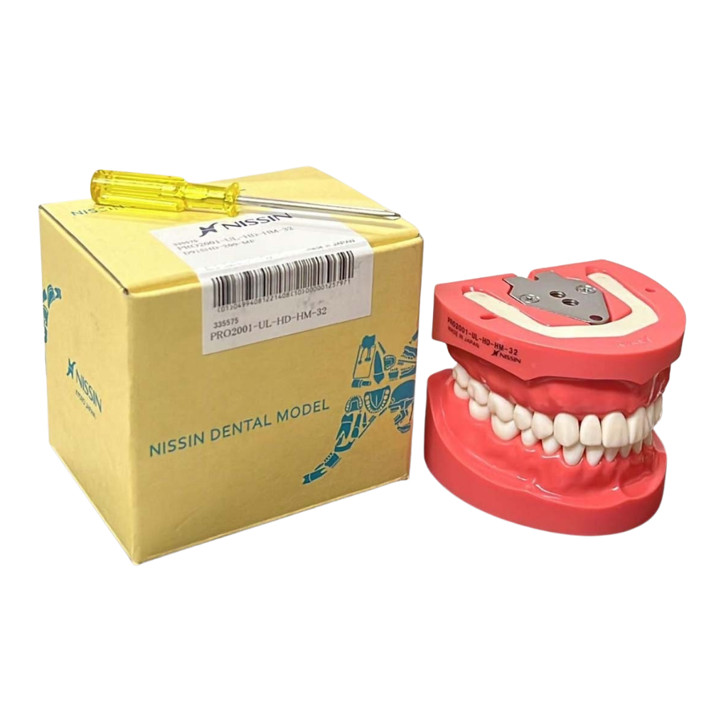 Nissin Typodont Jaw Set PRO2001 – UL (200 Series) – Without Articulator