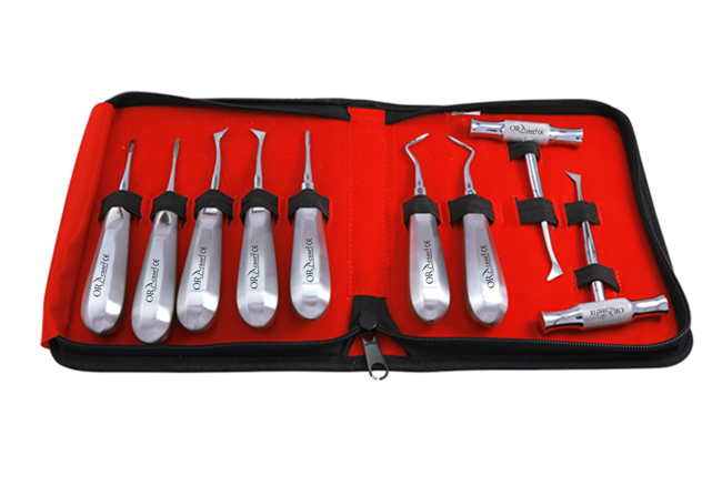 ORACRAFT Root Elevator Set of 9 Pcs In Pouch # RESP9