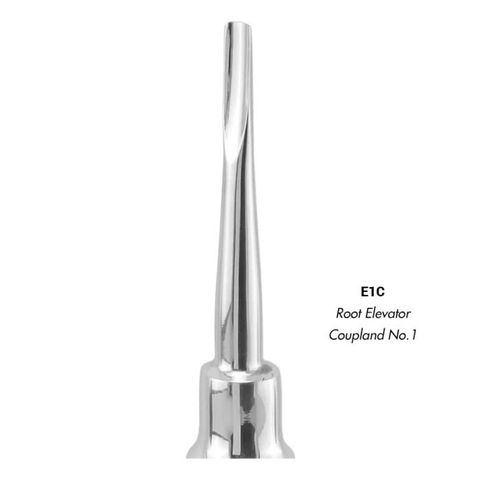 GDC Root Elevators Coupland Standard (E1C)