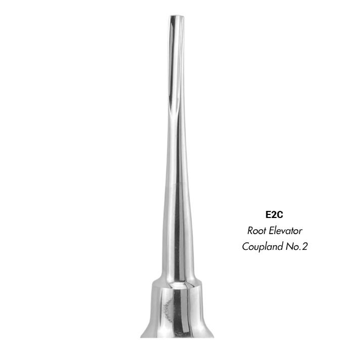 GDC Root Elevators Coupland Standard (E2C)