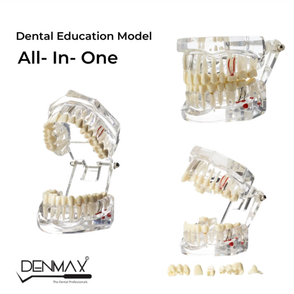 Denmax All-in-One Model for Education